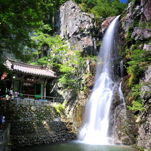 더위 날리세요^^