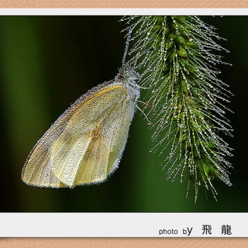 오늘 아침엔107-2탄