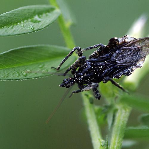 오늘 아침엔162-3탄