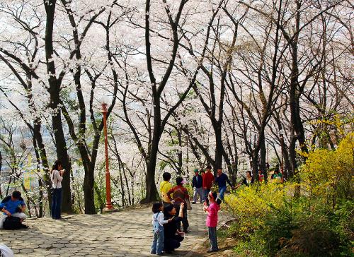 잔별님 & 녹차님