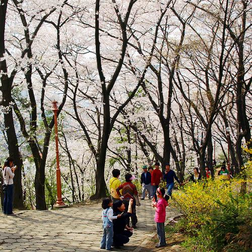 잔별님 & 녹차님