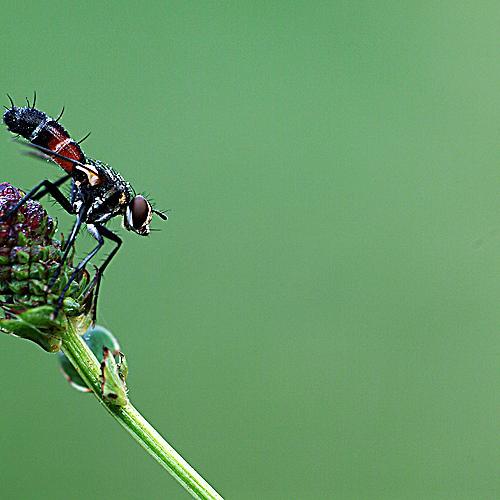 오늘 아침엔224탄