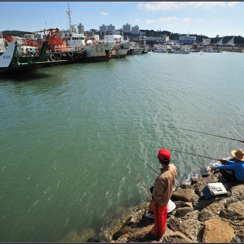 고기를 잡으러...