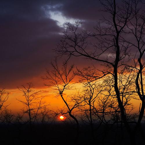 언덕에서 맞이한 아침