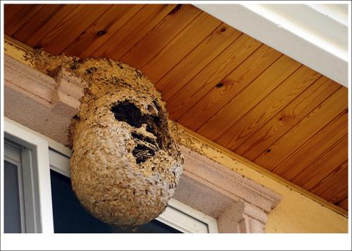 아주 무서운 놈들....