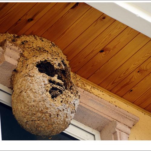 아주 무서운 놈들....