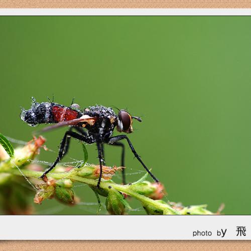 오늘 아침엔107-3탄