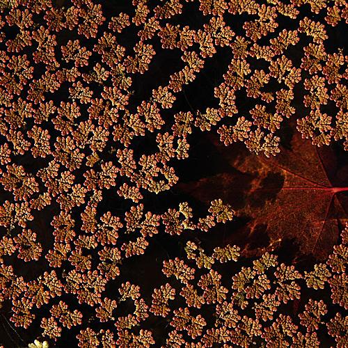 오늘 아침엔226-2탄