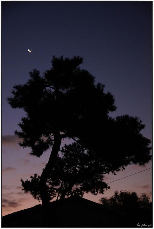 아들과 함께 하는 새벽운동