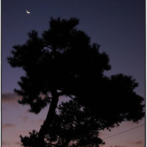 아들과 함께 하는 새벽운동