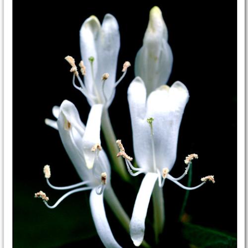 오늘 아침엔41탄(연작)