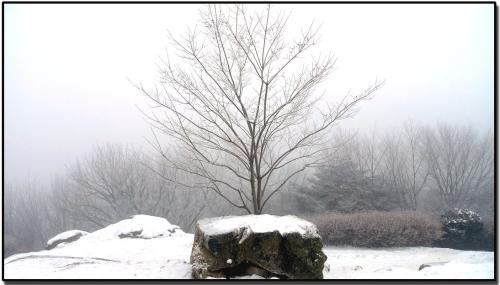 보문산 겨울풍경