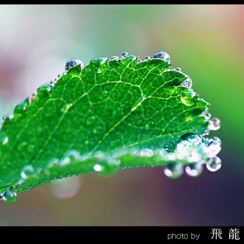 오늘 아침엔18탄