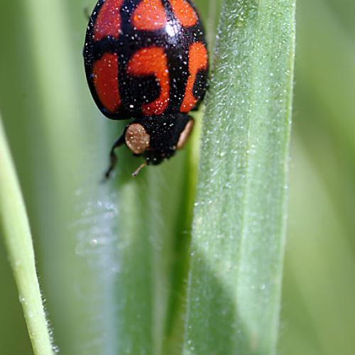 오늘 아침엔163-2탄