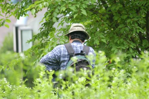 옛풍님 ...........