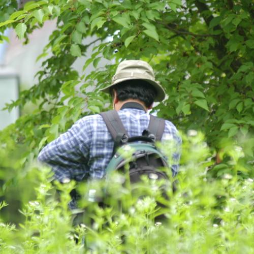 옛풍님 ...........