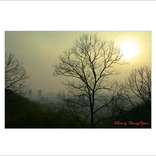 스치던 풍경을 잡다..