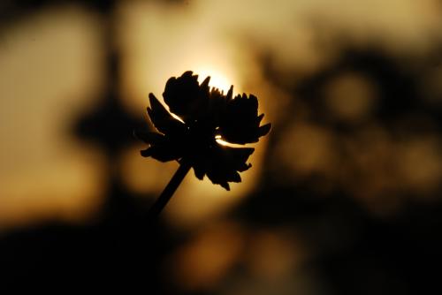 한밭수목원 서관에서