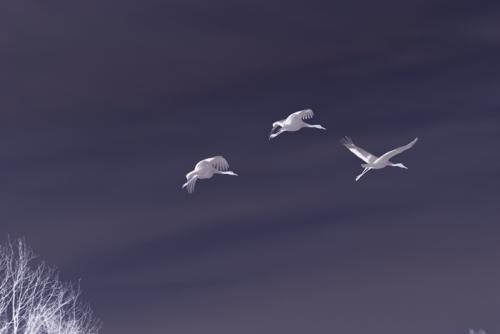 내 마음도 함께......