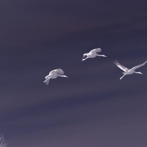 내 마음도 함께......