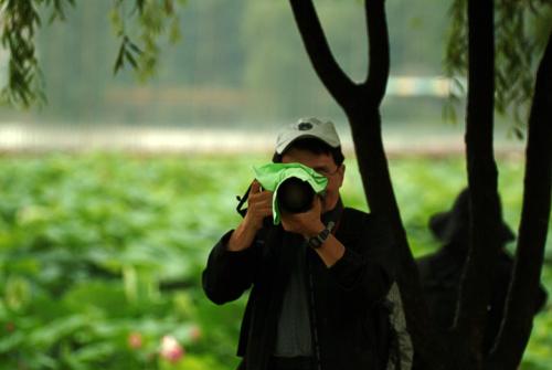 연잎 바다 앞에서