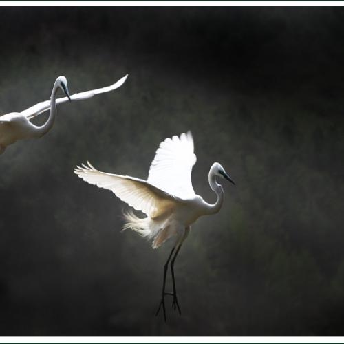 함께 한다는것은...