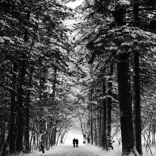 첫눈 속의 외출...