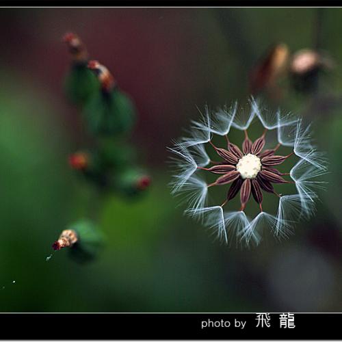 오늘 아침엔19탄(연 작)