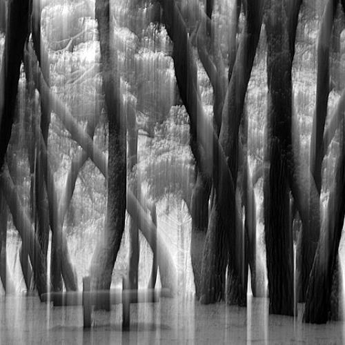 오늘 아침엔226-2탄(팬닝)