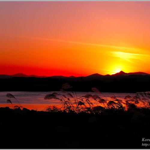 대구 화원 사문진 일몰