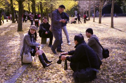 2달 늦은 남이섬 사진