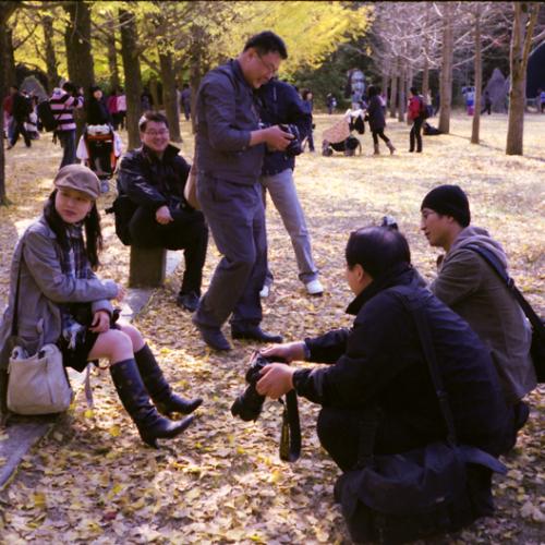 2달 늦은 남이섬 사진