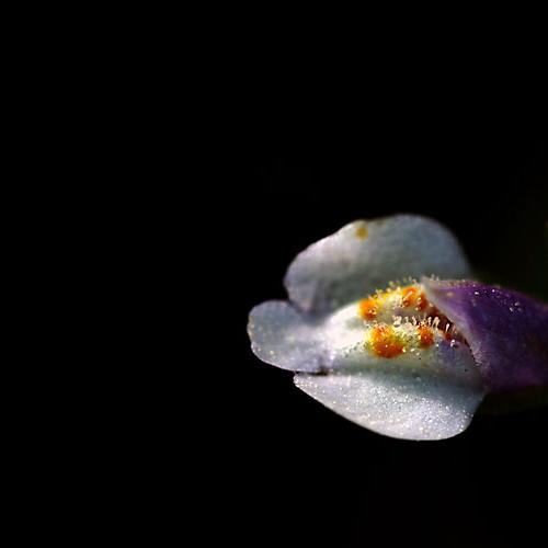 오늘 아침엔163-탄