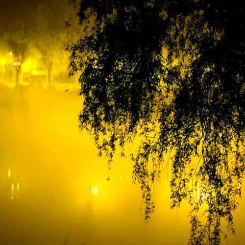 대청댐에 물안개가