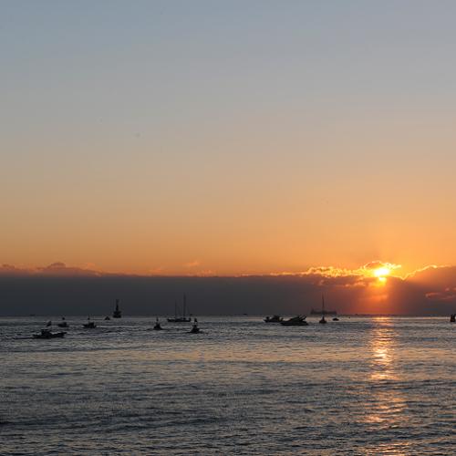 새해 복 많이 받으세요^^