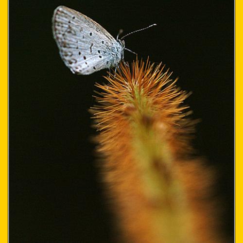 오늘 아침엔109탄