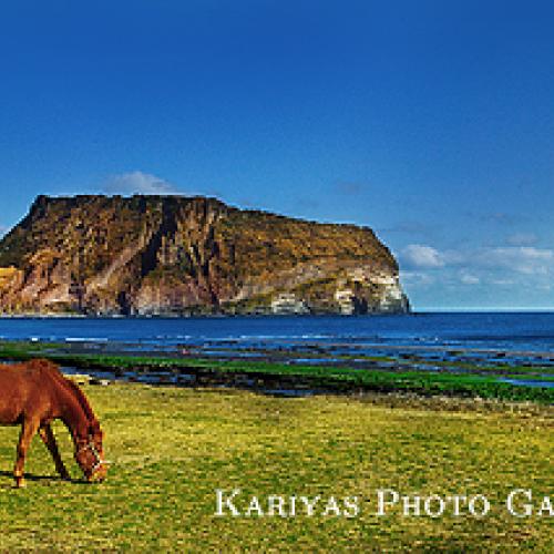 우리나라보다 더 아름다울 수 없다.