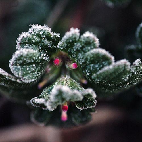 오늘 아침엔227탄