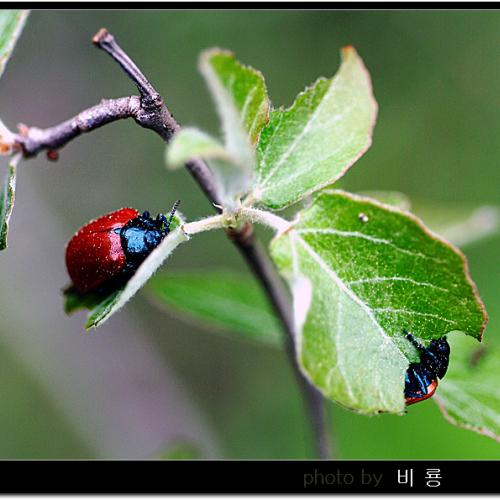 오늘 아침엔20탄(연 작)