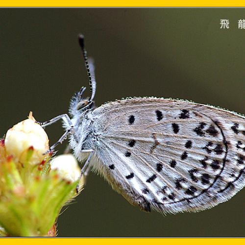 오늘 아침엔110탄