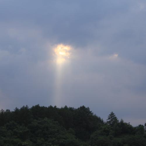 달리는 중에..;;;(안전운전 하세요 ㅎㅎ^^)