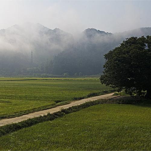 원정리 파노라마