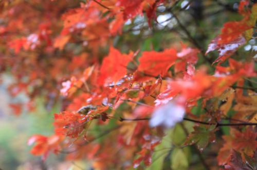 잠시 일상을 올려봅니다^^