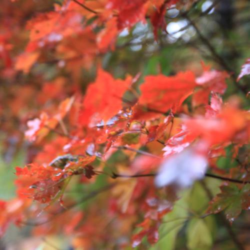 잠시 일상을 올려봅니다^^