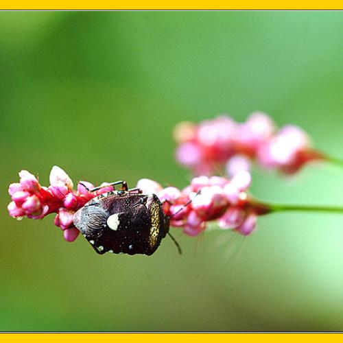 오늘 아침엔110-2탄