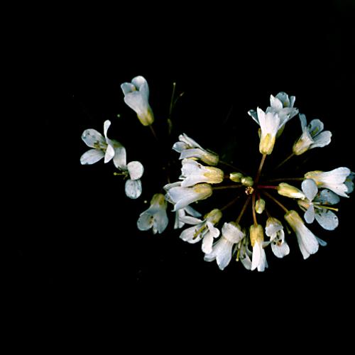 오늘 아침엔164-3탄