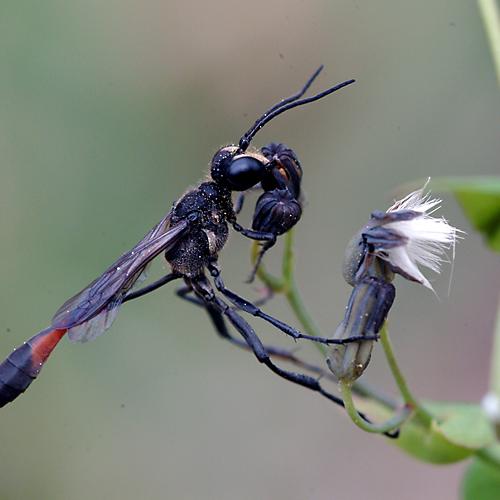 오늘 아침엔165탄