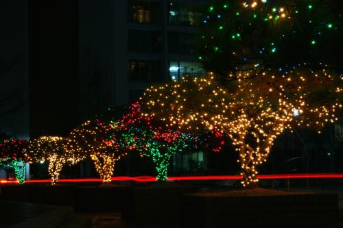 야경 - 유성구 W 아파트단지