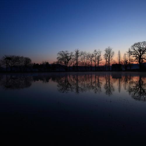 방죽골 여명과 일출...