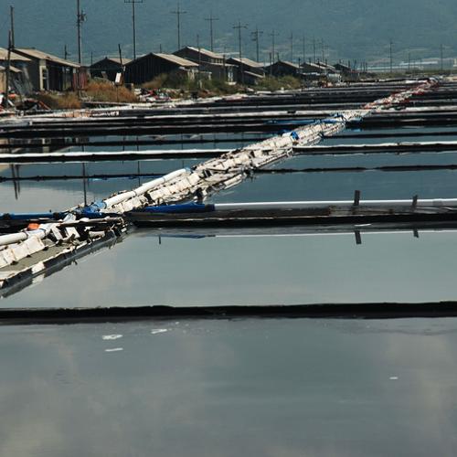 두우리염전 그리고 법성포....